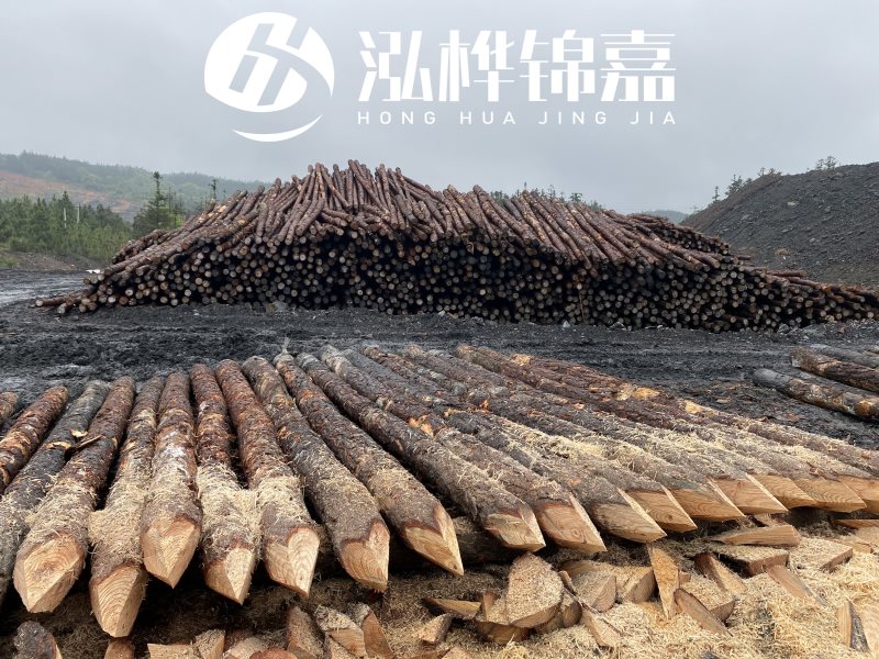 6米長松木樁有哪些作用，多少錢一根？
