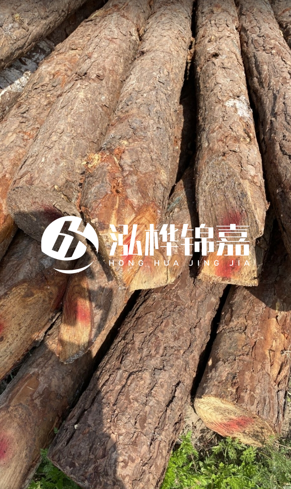 <strong>松木樁和杉木樁的用途區(qū)別？哪個(gè)更適合打樁用？</strong>