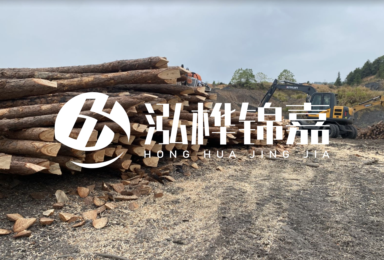 松木樁尾徑是什么意思？