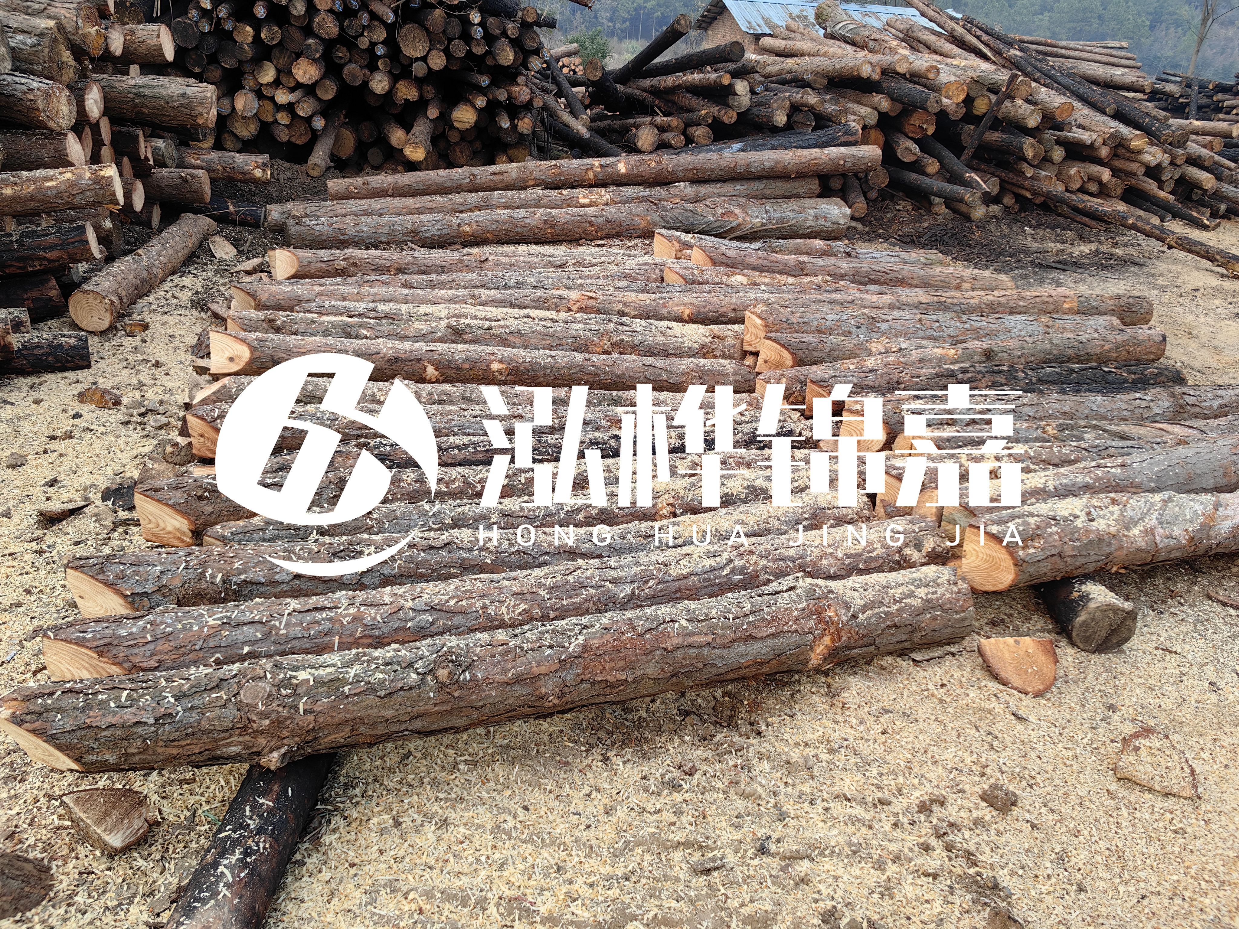 河道打樁木重復(fù)利用嗎？