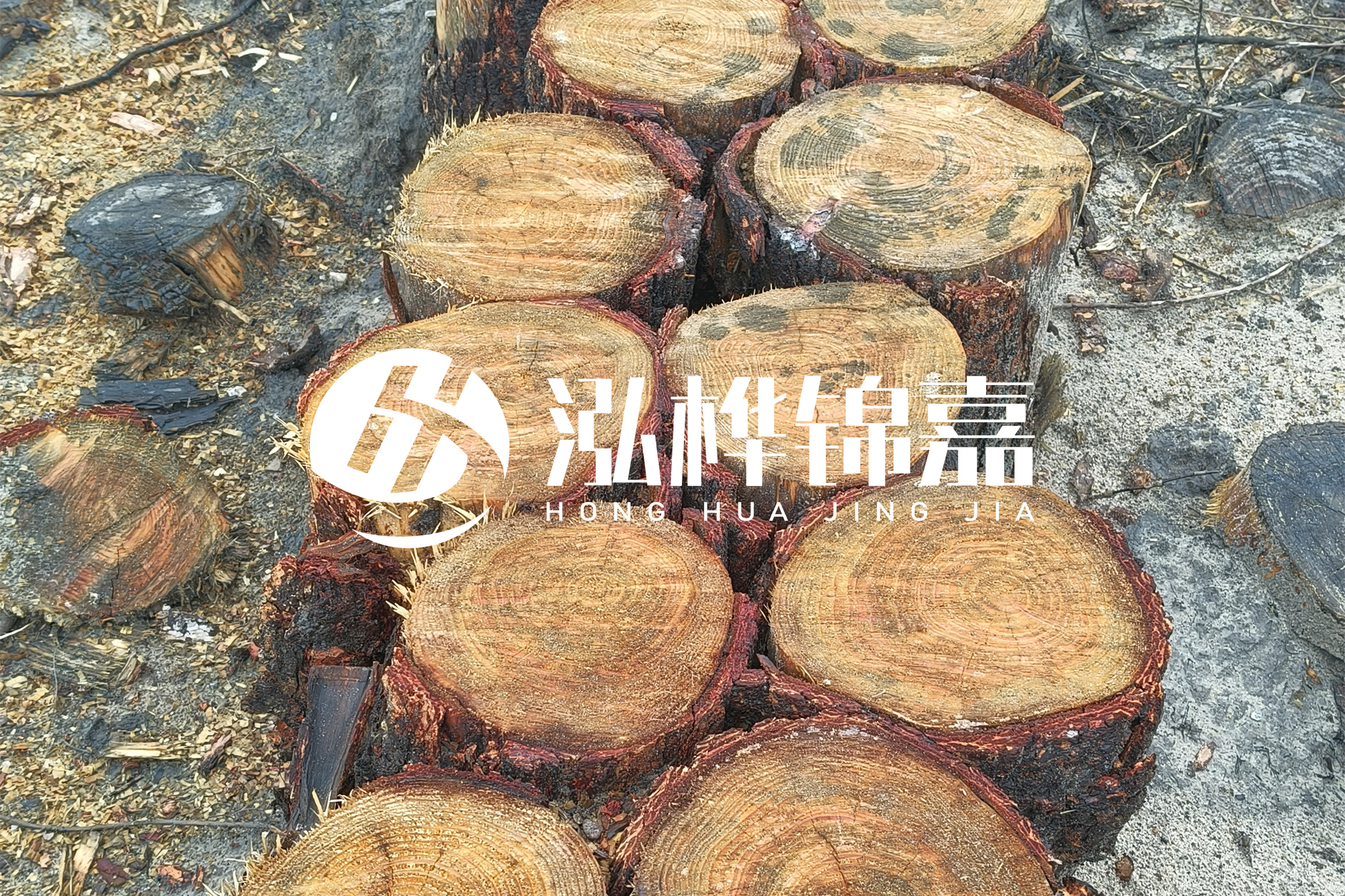 浙江臺州有清淤的公司嗎？浙江臺州有清淤施工隊(duì)嗎？