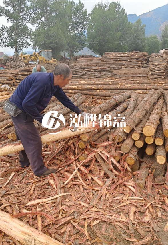 東營河道清淤專業(yè)施工隊(duì)-不同型號(hào)挖機(jī)清淤能力對(duì)比？