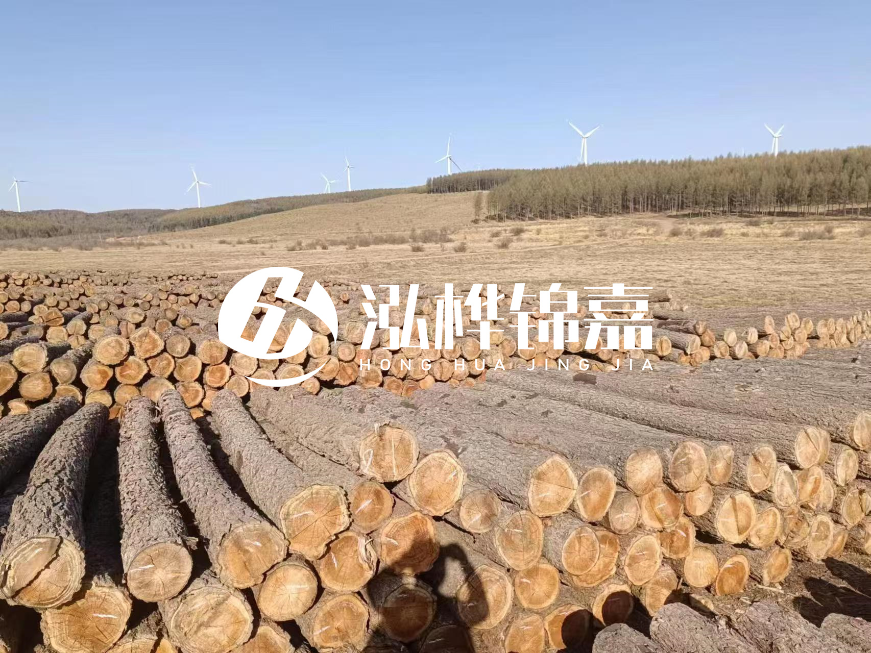 咸寧松木樁源頭廠家-哪里能買到質(zhì)量好的松木樁打樁木？