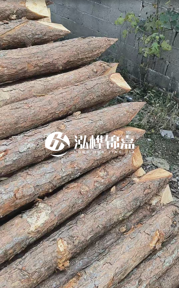 松木樁哪里能大量供應(yīng)？4米20公分松木樁價格是多少？