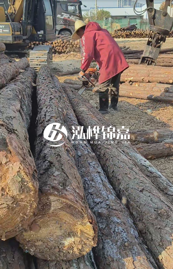 長沙打樁木批發(fā)廠家在哪里？聯(lián)系方式是什么？