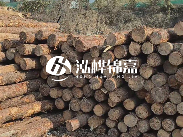 落葉松木材的主要產地在哪里？為什么比其他松木更耐腐蝕？
