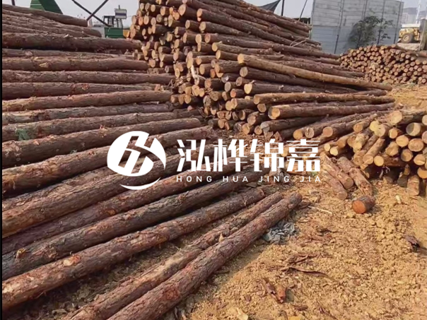 河道木樁施工遇到淤泥怎么辦？打多深才能防沖刷？