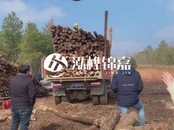 防腐木樁價格比普通木樁貴多少？防腐木樁有哪些處理方式？