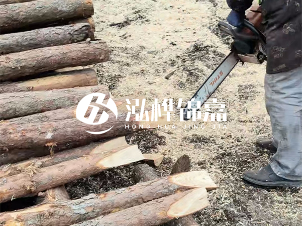 杉木樁批發(fā)廠家哪家好？產地直供渠道推薦！