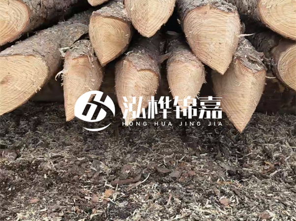 打樁木樁與鋼樁相比有哪些優(yōu)缺點(diǎn)？如何進(jìn)行后期維護(hù)？