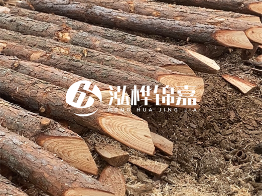 松木樁削尖的費用怎么算？按根收費還是包含在單價里？