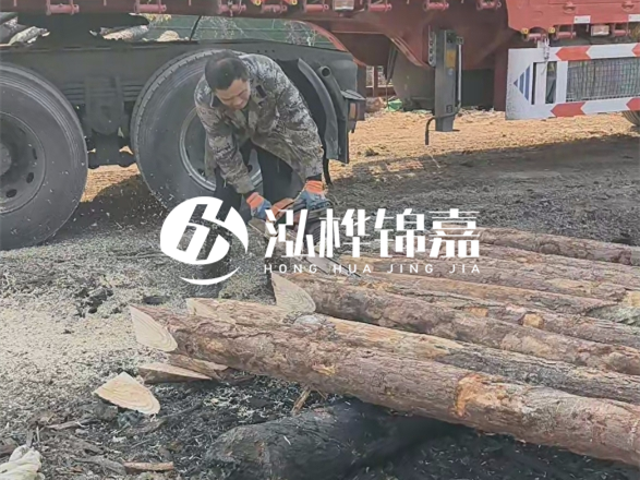 松木圓木價(jià)格大概多少一方-松木樁廠家按方可以賣嗎？