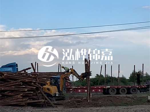 河北打樁木源頭廠家泓樺錦嘉 - 北方常用打樁木是什么？