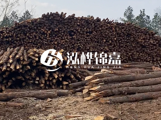 地基打木樁用什么木材 - 地基打木樁的能撐幾年？