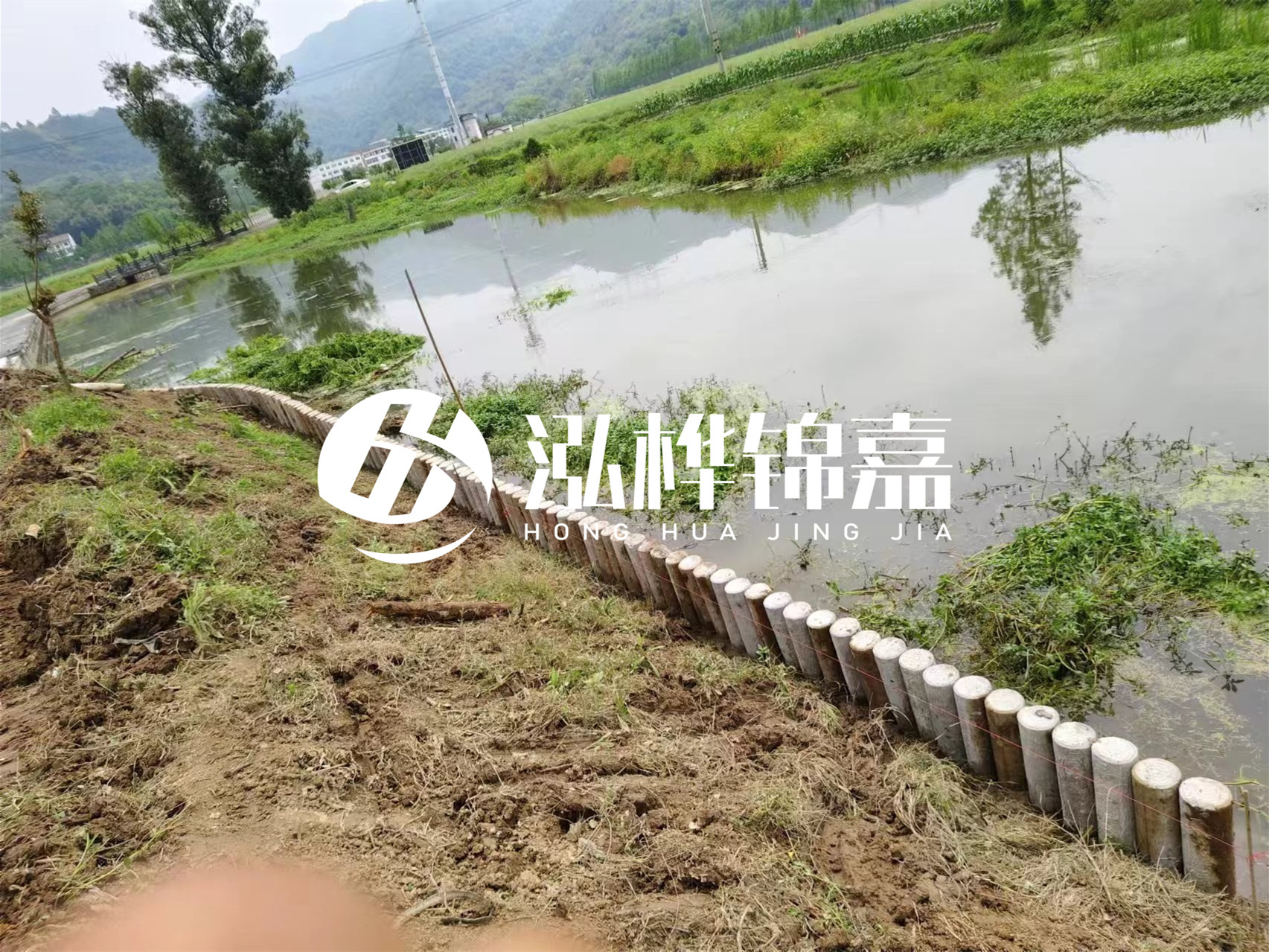 松木樁加固河道與水泥樁對比如何？哪一種更加適合您？