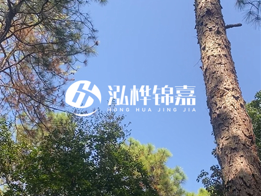 松木樁廠家的供貨能力強不強-怎么才能聯(lián)系到松木樁廠家？