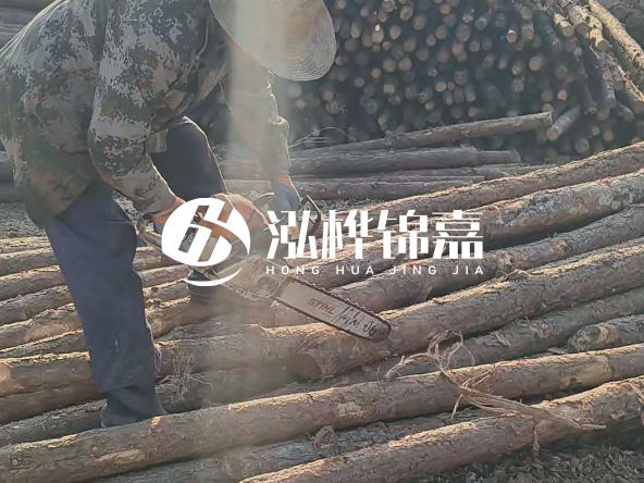 廣東打樁木源頭廠家泓樺錦嘉 - 如何選擇適合特定邊坡的松木樁？