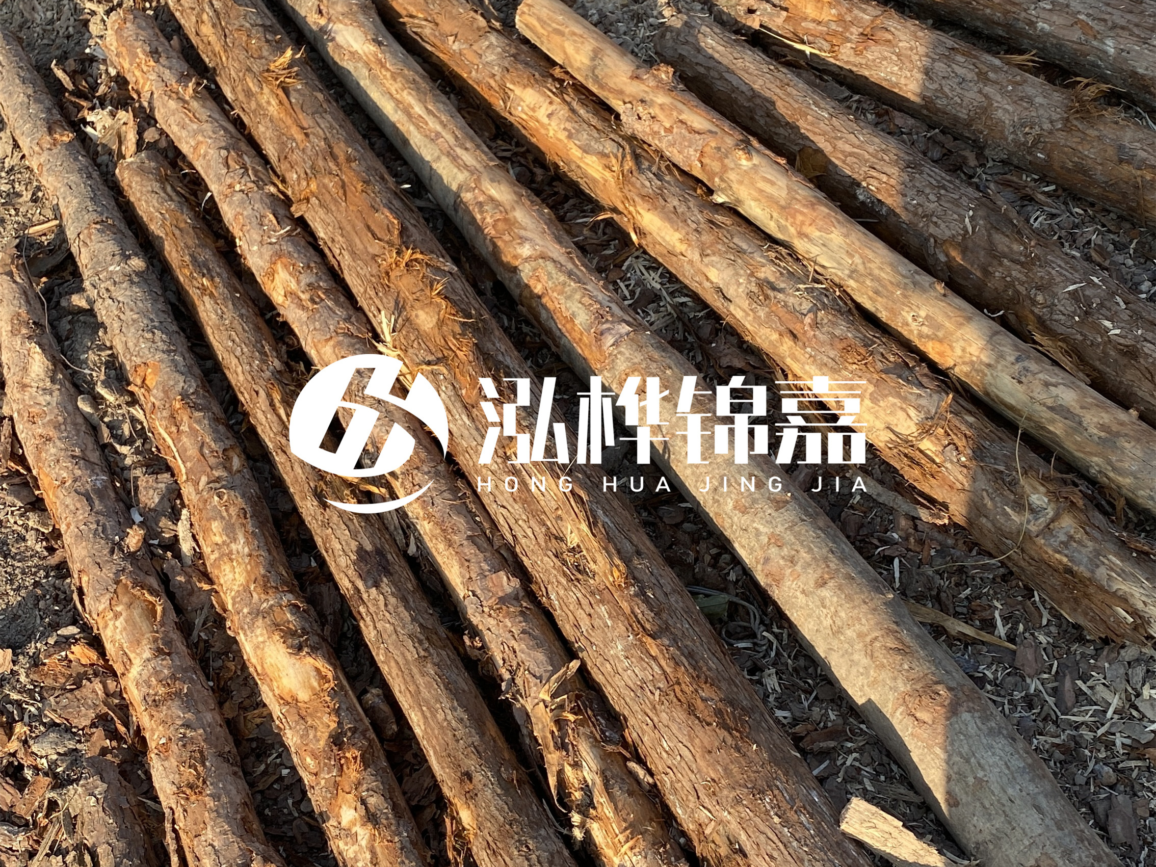 河道木樁多少錢一根？河道木樁的使用以及保養(yǎng)方法?