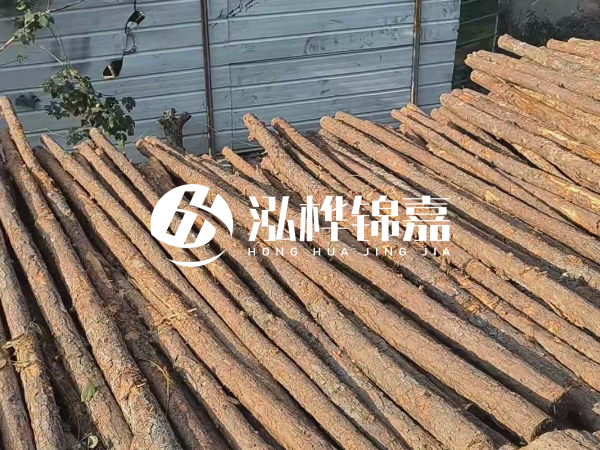 松木樁打樁后清淤怎么處理？有沒有全包的公司？