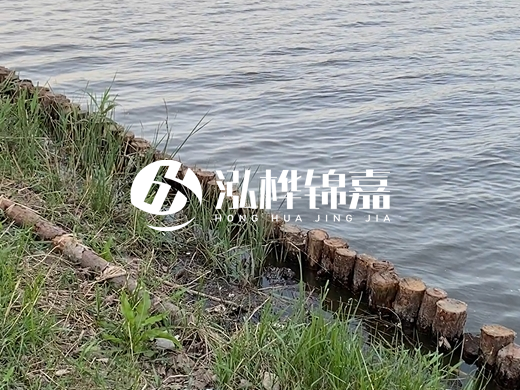 防洪松木樁施工重要性？河道打木樁的位置怎么確定？