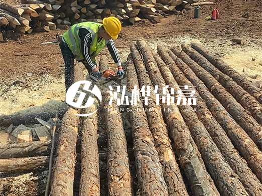 松木樁批發(fā)廠家泓樺錦嘉-河道打樁木施工中怎么防止樁頭被打壞？