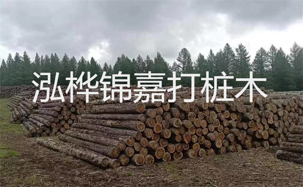 選擇紅磚護(hù)坡，打造獨(dú)特的美麗景觀(guān)