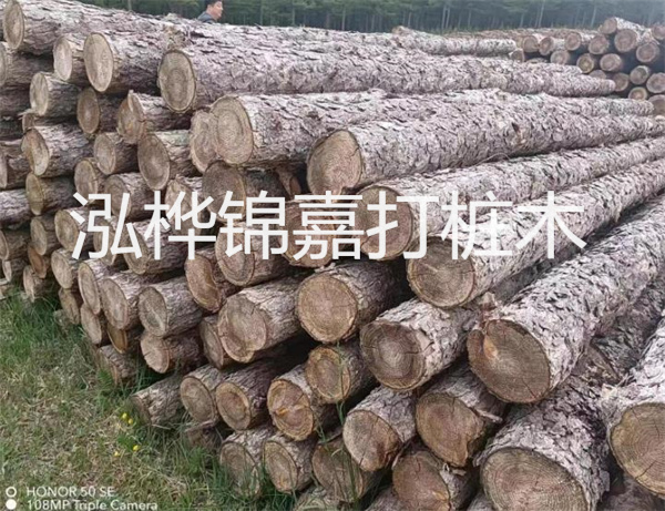 高效修補(bǔ)，保駕護(hù)航！水泥路面高強(qiáng)度修補(bǔ)料為您解決煩惱！