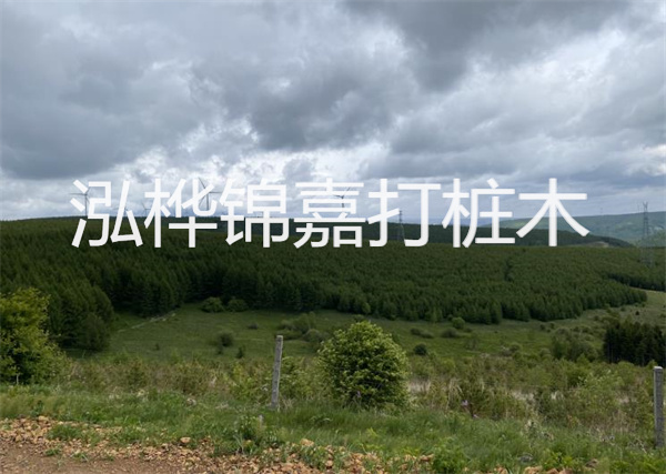 松木樁能重復(fù)施工么？