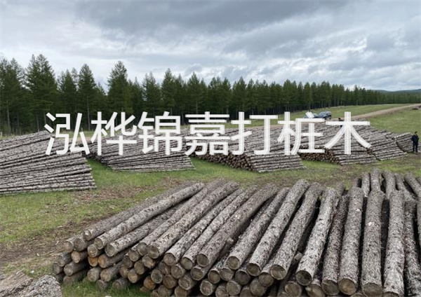 鋼結(jié)構(gòu)施工方案大全免費(fèi)提供，助力工程建設(shè)