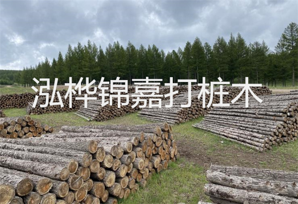 預(yù)制松木樁施工工藝：優(yōu)質(zhì)材料，高效快速，堅固耐用