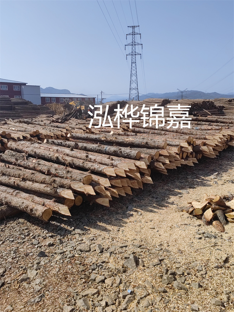 深入了解松木樁基礎(chǔ)施工單價，助力工程建設(shè)順利進(jìn)行！