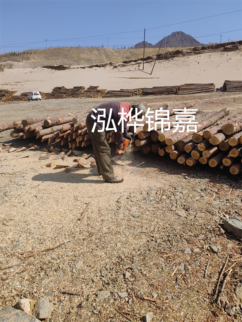 松木樁駁岸施工，打造水上風(fēng)景線