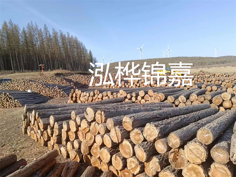 用路基松木樁施工方案提升工程質(zhì)量描述：了解路基松木樁施工方案的重要性，提高工程質(zhì)量關(guān)鍵詞：路基松木樁，施工方案，工程質(zhì)量