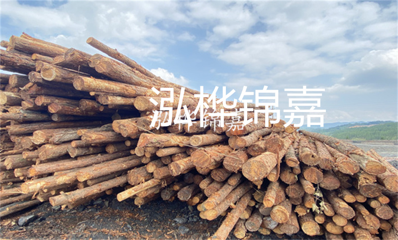 濮陽松木樁，卓越品質(zhì)，安全可靠