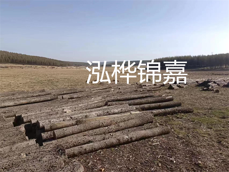 鄂州松木樁哪里好？推薦泓樺錦嘉松木樁業(yè)！
