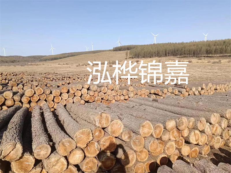 濟(jì)南哪里賣松木木樁？